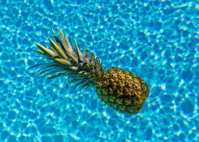 فيلة Villa Vrbnik فربنيك