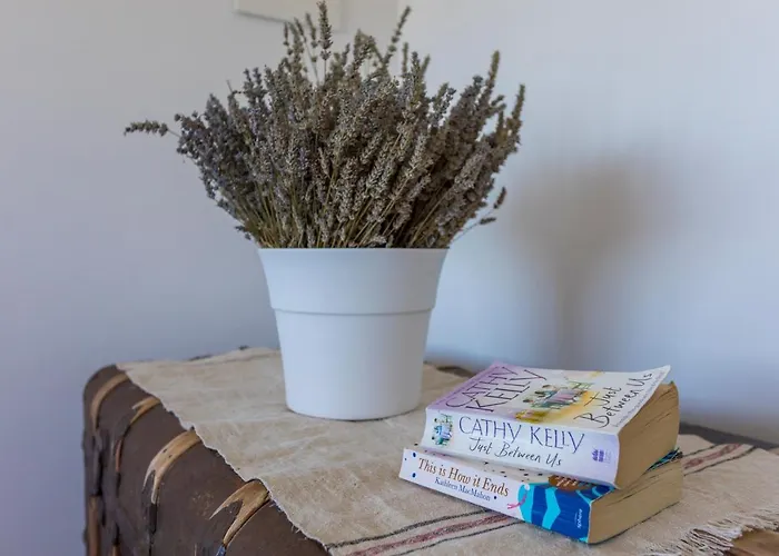 Villa Vrbnik فيلة