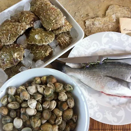 Villa Vrbnik 瓦比尼科