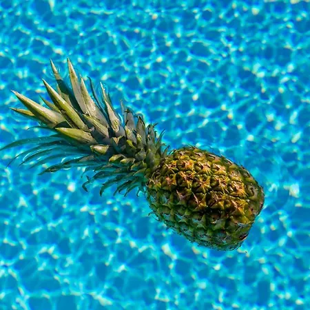 别墅 Villa Vrbnik 瓦比尼科