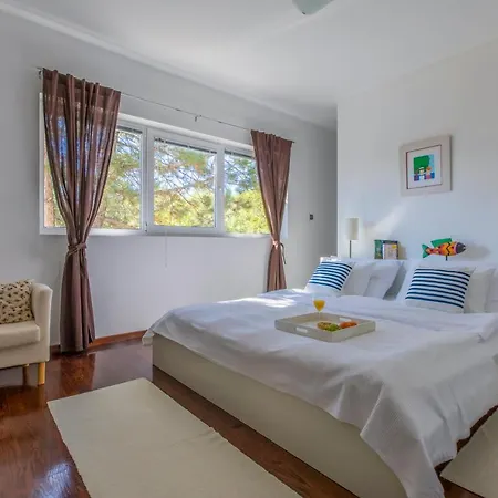 Villa Vrbnik * 瓦比尼科